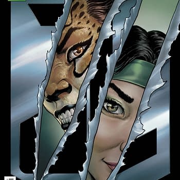 Cover image for Cheetah and Cheshire Rob the Justice League #1