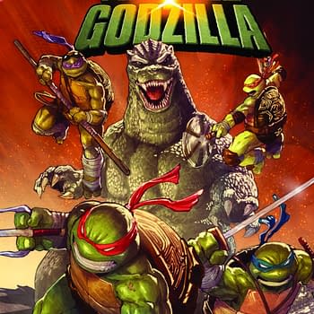 IDW November 2025 Full Solicits