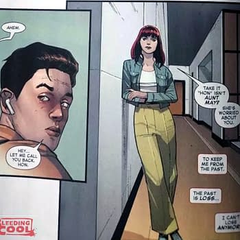 The Future Of Mary Jane Watson And Peter Parker (Spider-Spoilers)