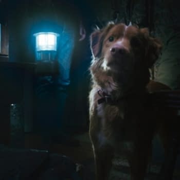 A warm, inviting scene featuring a brown dog with a curious expression, illuminated by the light of a lantern held by a person in the background. The setting suggests a cozy indoor environment, enhancing the dog's charming presence.