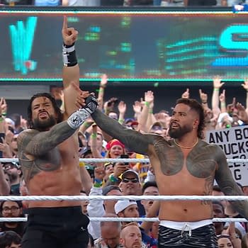 Roman Reigns and Jey Uso celebrate their victory in a wrestling ring at WWE SummerSlam, raising each other's hands amidst a cheering crowd. Signs and excited fans fill the background.