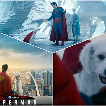 A collage featuring Superman dressed in his iconic blue and red suit, interacting with a dog wearing a small cape in an ice-themed setting, alongside a futuristic robot. One scene shows Superman sitting on a rooftop with the dog, overlooking a city skyline at sunset, while another highlights a close-up of the dog's expressive face.