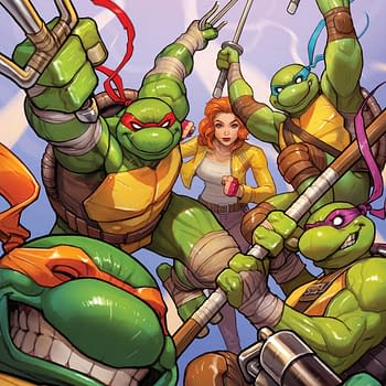 David Nakayama 1:250 Blind Bag Variant For TMNT #13