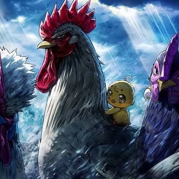 Rooster Fighter