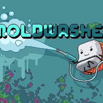 Moldwasher