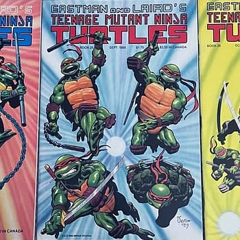 The Return Of Rick Veitch's Teenage Mutant Ninja Turtles As Well?