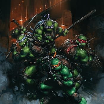 Teenage Mutant Ninja Turtles #13 Sells Over 100,000