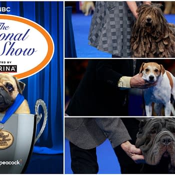 2025 National Dog Show Viewing Guide: Everything You Need to Know!