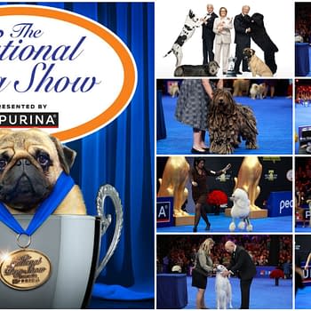 National Dog Show Pregame: Everything You Need to Know!