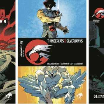 ThunderCats X SilverHawks Crossover Creates The ThunderHawks