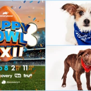 Puppy Bowl XXII