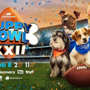 Puppy Bowl XXII Preview/Viewing Guide: The Canine Competition Returns!