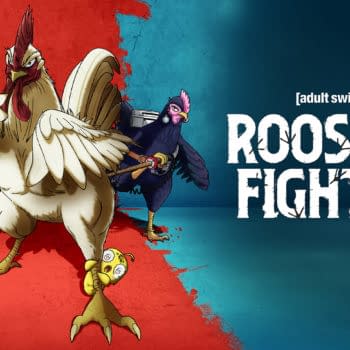 Rooster Fighter