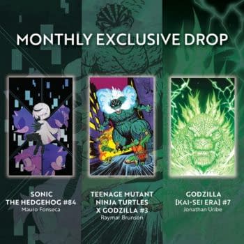 IDW Reports 12.5% Sales Decline, Blames Diamond For Losses