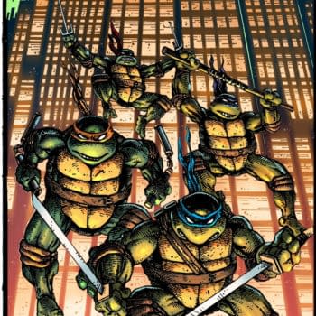 Teenage Mutant Ninja Turtles #300 Gets Blind Bag For Kevin & Peter Laird Cover