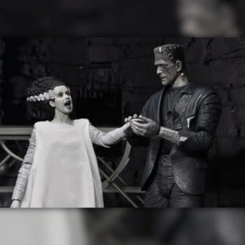 New Universal Monsters The Monster and The Bride 2-Pack Debuts