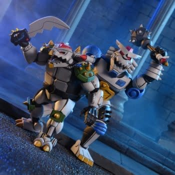 NECA Reveals New Robo Tokka & Rahzar TMNT Figure 2-Pack