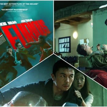 A dynamic movie poster for 'The Furious,' featuring dramatic action scenes and close-ups of characters engaged in intense fight sequences. The bold red title stands out against a moody background, highlighting the film's focus on high-energy action and suspense.