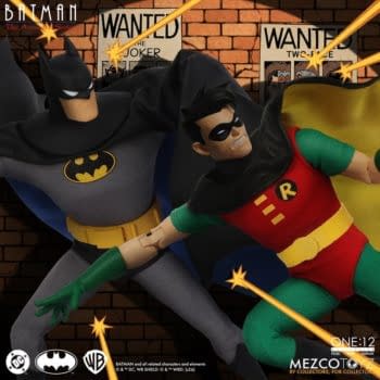 Batman: The Animated Series One:12 Robin Arrives from Mezco