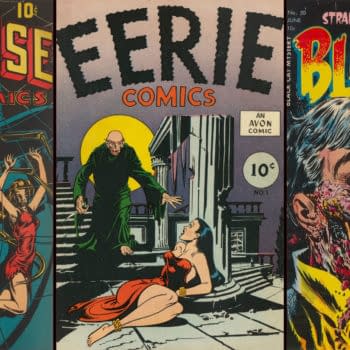 A collage of three vintage comic book covers featuring horror themes. The center cover titled "Eerie Comics" depicts a sinister figure in a robe approaching a woman on the steps during a full moon, surrounded by two other covers showing disturbing imagery, including a spider and a gruesome face.