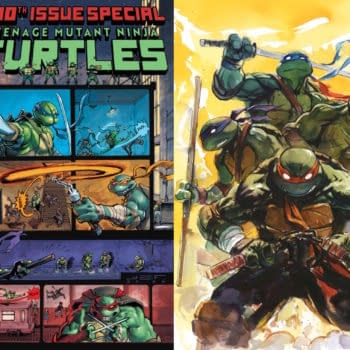 Teenage Mutant Ninja Turtles #300 Blind Bags
