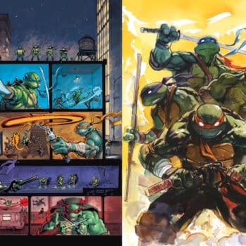 Teenage Mutant Ninja Turtles #300 Blind Bags By Ito And Juan Ferreyra