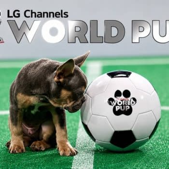 World Cup