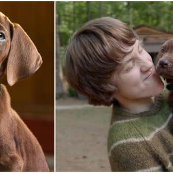 Scooby-Doo: Origins Teaser Introduces Its Very Real Leading Pup
