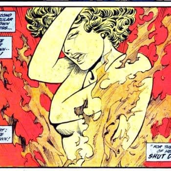 Fury Of Firestorm