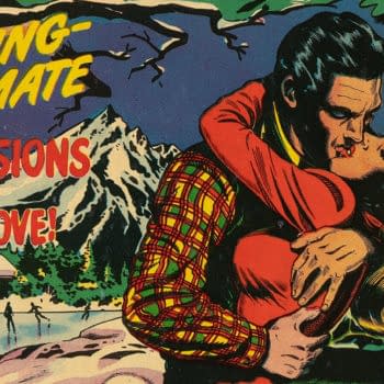 Vintage comic book cover art for Popular Teen-Agers #11 shows a dramatic young couple embracing in the foreground, with snowy mountains and the words “Exciting-Intimate Confessions of Young Love!” in the background.