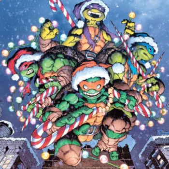 Exclusive: Official Full IDW November 2026 Solicits