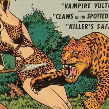 Sheena, Queen of the Jungle #2 (Fiction House, 1942) featured cover detail by Dan Zolnerowich. Sheena holds a knife beside a lunging leopard.