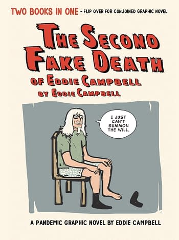 Cover image for SECOND FAKE DEATH OF EDDIE CAMPBELL & FATE OF THE ARTIST HC