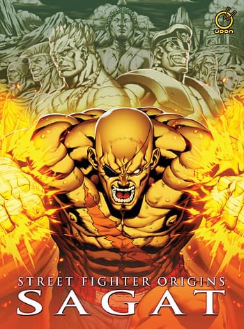 Cover image for STREET FIGHTER ORIGINS SAGAT HC
