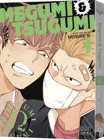 Cover image for MEGUMI & TSUGUMI GN