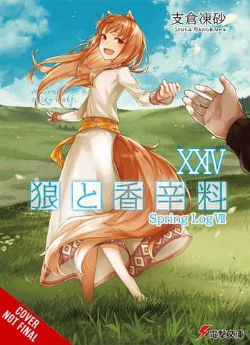 Cover image for SPICE AND WOLF LIGHT NOVEL SC VOL 24