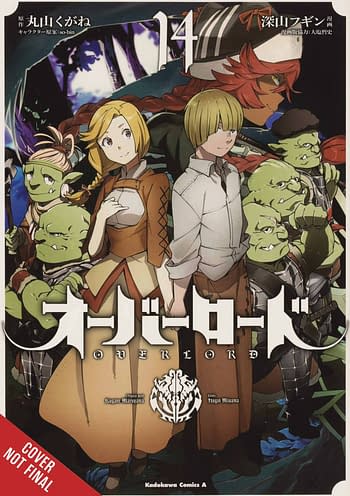 Cover image for OVERLORD GN VOL 14 (MR)