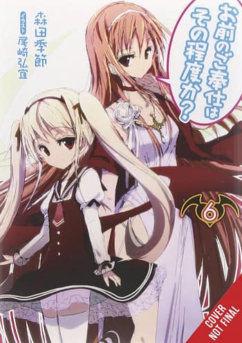 Cover image for YOU CALL THAT SERVICE LIGHT NOVEL SC VOL 06