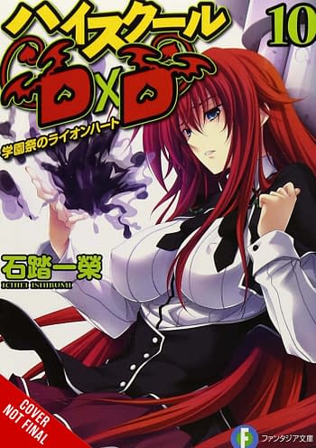 Cover image for HIGH SCHOOL DXD LIGHT NOVEL SC VOL 10 (MR)