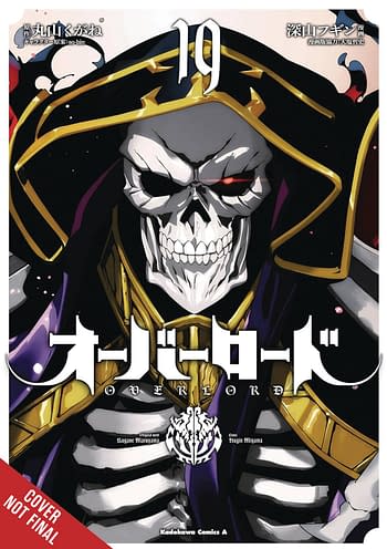 Cover image for OVERLORD GN VOL 19