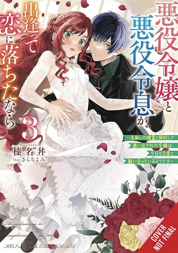 Cover image for IF VILLAINESS & VILLAIN MET & FELL IN LOVE NOVEL SC VOL 03 (