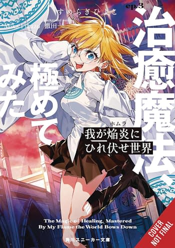Cover image for WORLD BOWS DOWN BEFORE MY FLAMES LIGHT NOVEL SC VOL 03