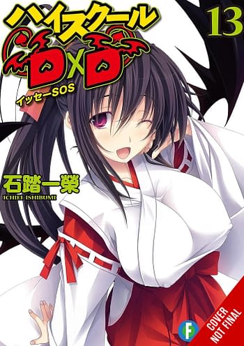 Cover image for HIGH SCHOOL DXD LIGHT NOVEL SC VOL 13