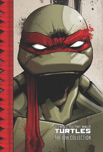 Cover image for TMNT ONGOING (IDW) COLL TP VOL 01