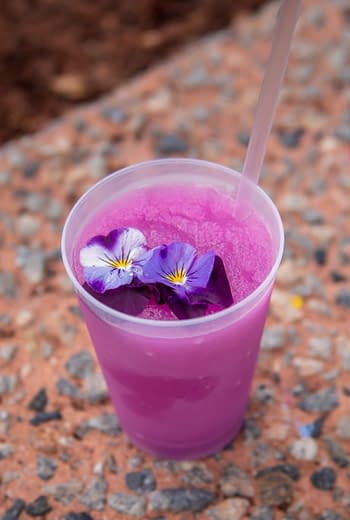 Frozen Desert Violet Lemonade epcot