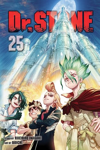 Cover image for DR STONE GN VOL 25