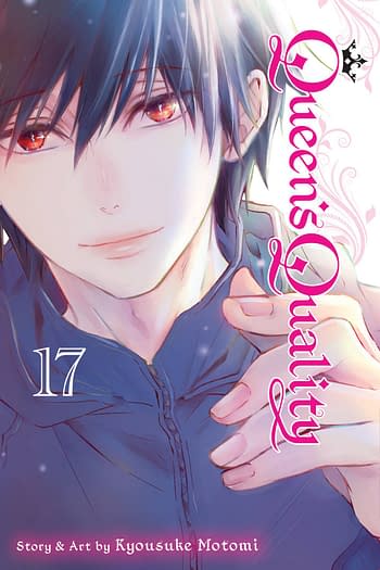 Cover image for QUEENS QUALITY GN VOL 17
