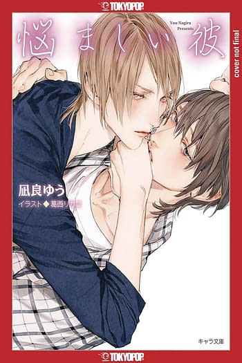 Cover image for MY BEAUTIFUL MAN LIGHT NOVEL SC VOL 03 (MR)