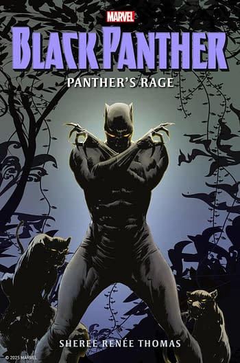 Cover image for BLACK PANTHER PANTHERS RAGE PROSE NOVEL HC