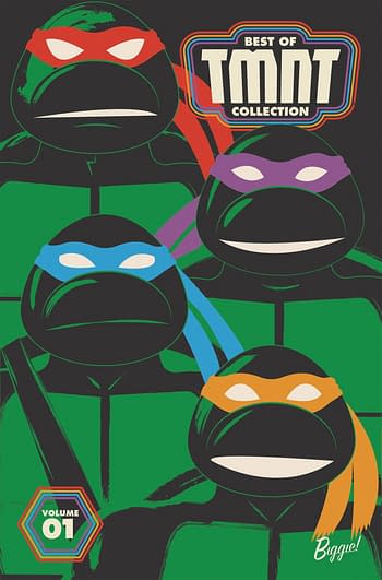 Cover image for TMNT BEST OF TMNT COLLECTION TP VOL 01